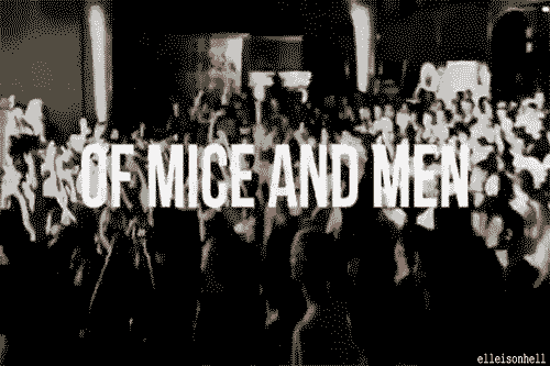 kokawko-shnawko:  Of Mice and Men WITH Shayley because i’m tired of seeing all
