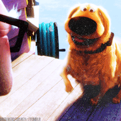 heartdisney:  Day 4: The sidekick you wish you had ⇒ Dug!  