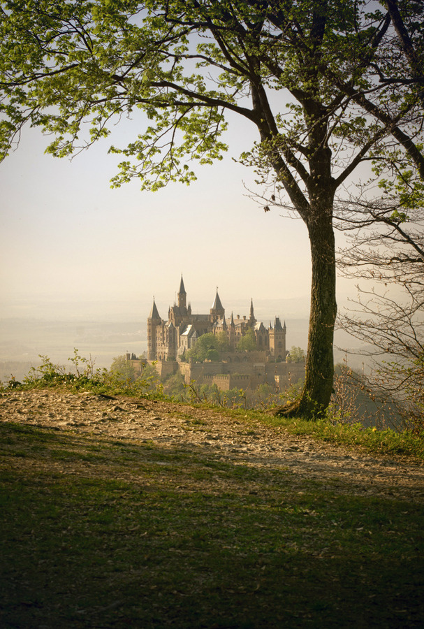 dreaming-through-the-noise:  On the Edge by Martin’s Photography  Burg Hohenzollern