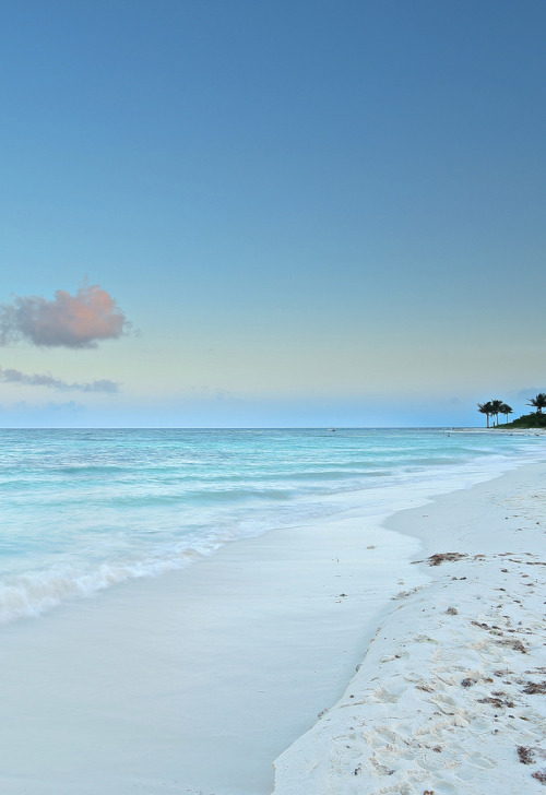 Porn Pics manolescent:  white sand beach 