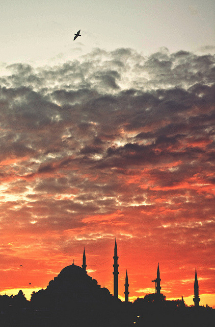 nour-96:  واللهُ في كلّ العجائِب ماثلٌ إن لم تَكن