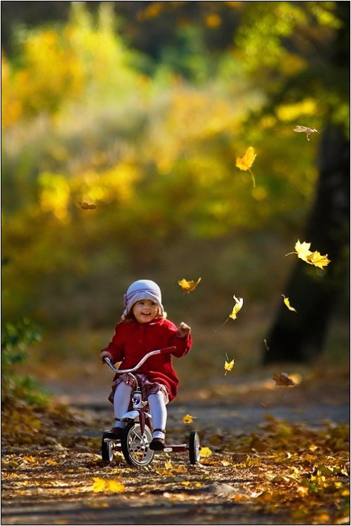 love-life-freedom:  It’s raining leaves.