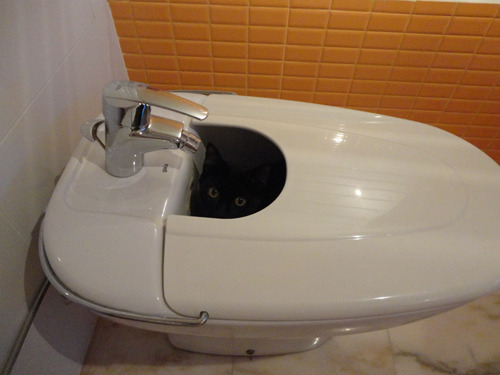 disco-dragons:  rubywings:  car0line127:  kittencas:  jaaaaaaaaaaaaaaaaaaackson:  bellatirx:  batmansbutt:  percybeth:  i was going to the bathroom when  i’ve been staring at this for like five minutes and i can’t figure out if that’s a toilet or