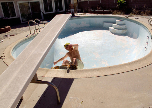 dogtown