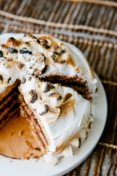 Porn Pics gastrogirl:  inside out s’mores cake. 