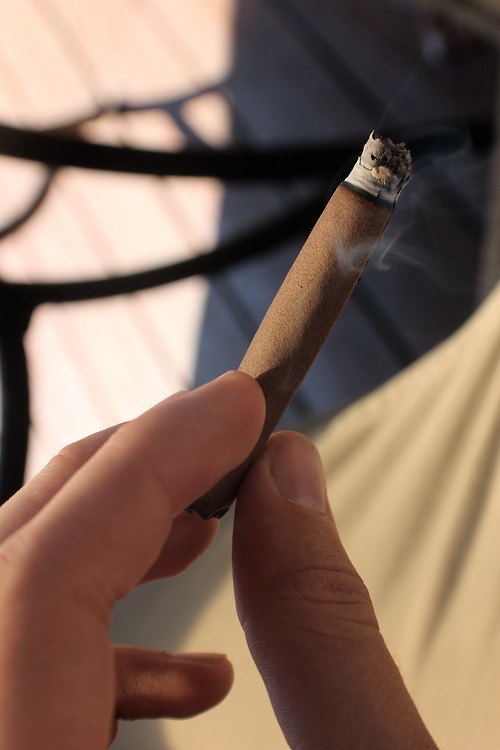 sourwreck:  blunts fo dayz