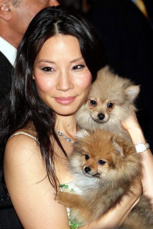 ultraclumsyrbot:gynocieum:LUCY LIU IS COVERED IN PUPPIES@rocktopussy