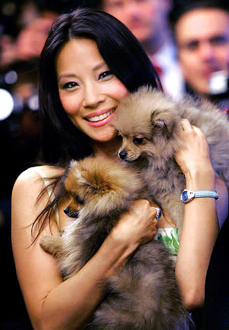 gynocieum:  LUCY LIU IS COVERED IN PUPPIES 