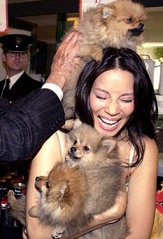 gynocieum:  LUCY LIU IS COVERED IN PUPPIES 