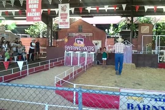 PIG RACE! at the LA county fair