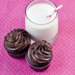 fattributes:  Double Chocolate Cupcakes