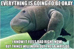 calmingmanatee:  [Image description: A close up shot of a manatee hugging a human arm in a yellow and black diving suit. TEXT: “Everything is going to be okay. I know it feels bad right now. But things will work out. They always do.”] Oh dear! I have