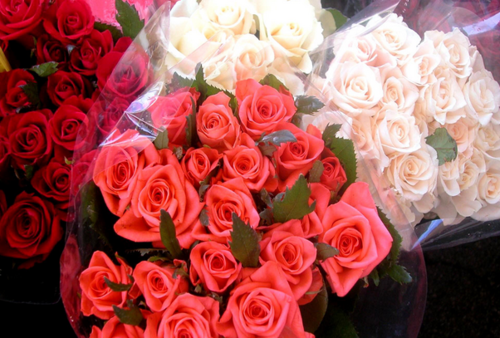 oh so rosy
