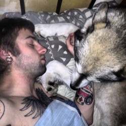 We #cuddle lots! #boston #husky #malamute #cute #puppy #dogsofinstagram #tattyslip @tattooed_shoutouts4_everyone  (Taken with Instagram)