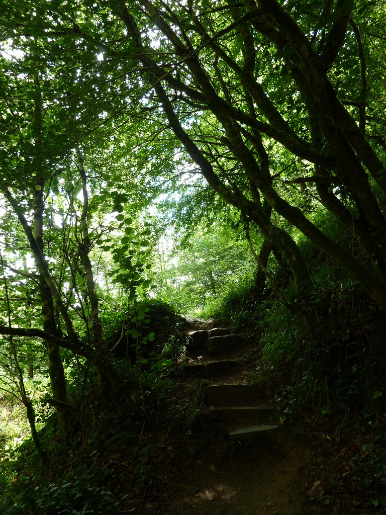 molieresphotography:  Huelgoat, Brittany, France - Copyrights Val Moliere