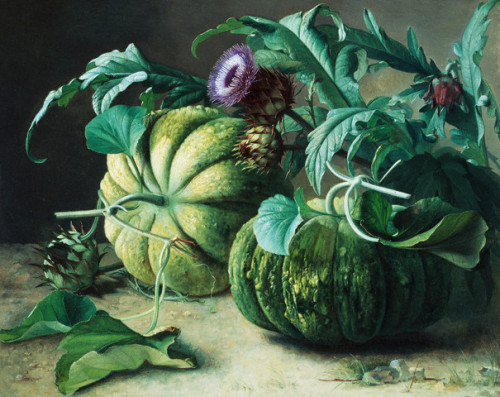 lacalaveracatrina:Carl Vilhelm Balsgaard, A Still Life of Pumpkins and Artichokes, 1832-1893.