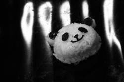 Panda shaped rice