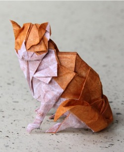 voluptama:  kittygami 