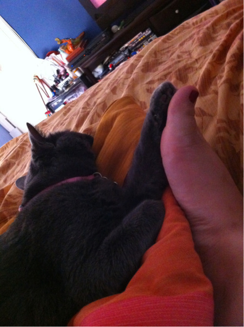 freakycouplelove: Paw on paw action …
