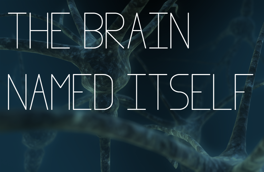 cement-feathered:  jtotheizzoe:  sciencepopularis:  Reddit’s mind-blowing sentences