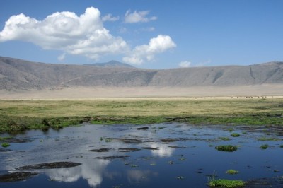 NGORONGORO KRATERİ ( G.AFRİKA, Tanzanya )
Altında uzanan düzlüklerden izole bir şekilde yükseklere uzanan dev volkanik krater içinde her türlü hayvanın bol bol bulunduğu bir vahşi yaşam barınağı. Tanzanya'nın kuzeyinde, karmakarışık bir bitki örtüsü...