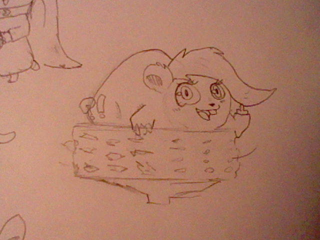 thedeedeedee:  Coffeebean, Emma, Forgetful and Helen    dafaaqqqq, hamster madness&hellip;&hellip;