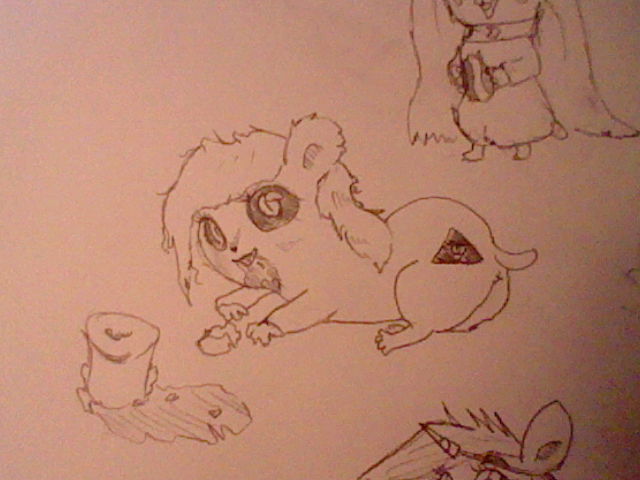 thedeedeedee:  Coffeebean, Emma, Forgetful and Helen    dafaaqqqq, hamster madness&hellip;&hellip;