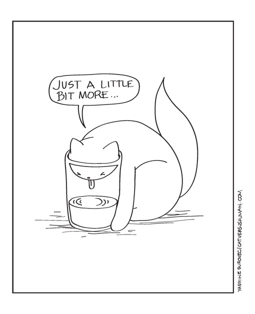 catversushuman:  My cats like to challenge themselves sometimes. 