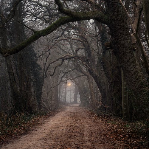 pumpkin-pie-and-autumn-leaves: Dark Mantra by =Oer-Wout