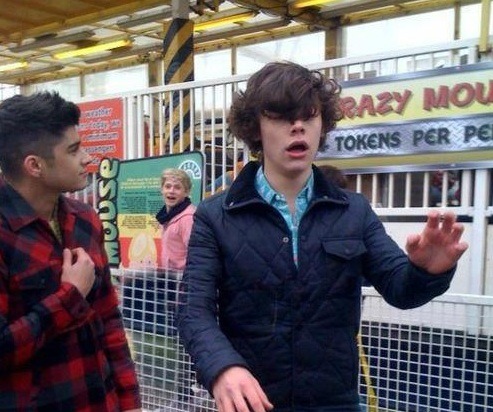The Many Faces of... — The many faces of One Direction: Derp