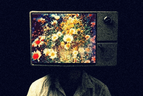 nebulatriangles:  ☮ Hippies, hipsters ▲ and drugs ☯  