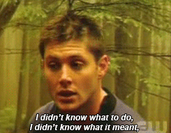 twerking-through-time:joanlocked:[x]the great part about this is that this can either be dean or jen