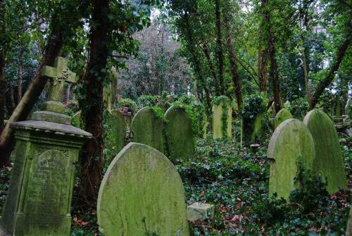 liselotte-e: Highgate Cemetery I Liselotte Eriksson tumblr website facebook