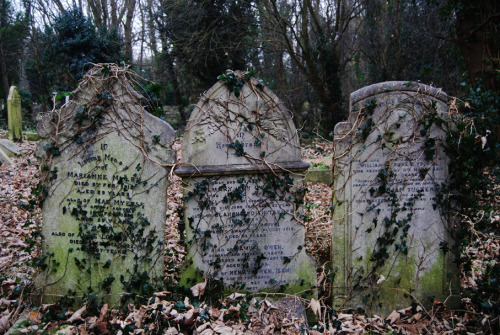 liselotte-e: Highgate Cemetery I Liselotte Eriksson tumblr website facebook