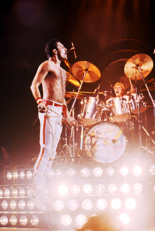 slightly-mad-banana-tree:estymxgirl:Freddie Mercury Practicing levitation on stage