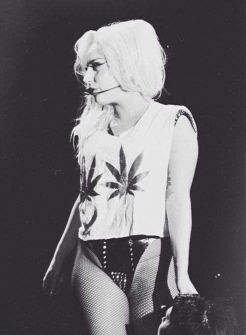germanotta