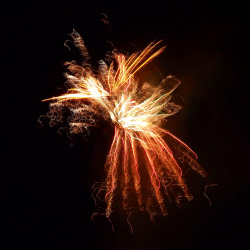 hollyparkhouse:  On holiday this year I went to the lovely Isle of Wight and the campsite we stayed at let of fireworks every Friday, here is a photograph I took of one of the fireworks. 