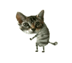 You need the dancing cat on your blog.