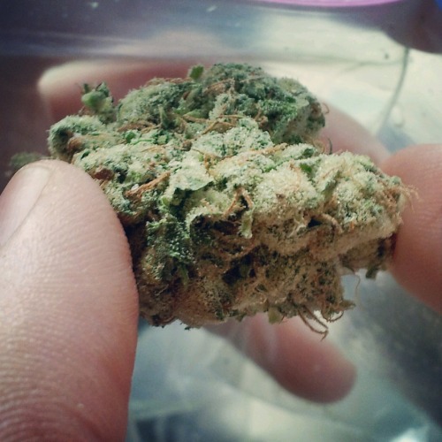 legendaryclit.tumblr.com/post/31825246100/
