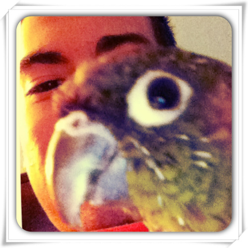 Kiwi The Bird And Me.