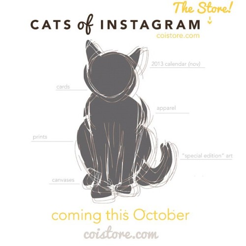 [coistore.com - Made by cats for humans - @coistore] #teaser #coistore [source: http://instagr.am/p/PuxhdNtUvU/ ]