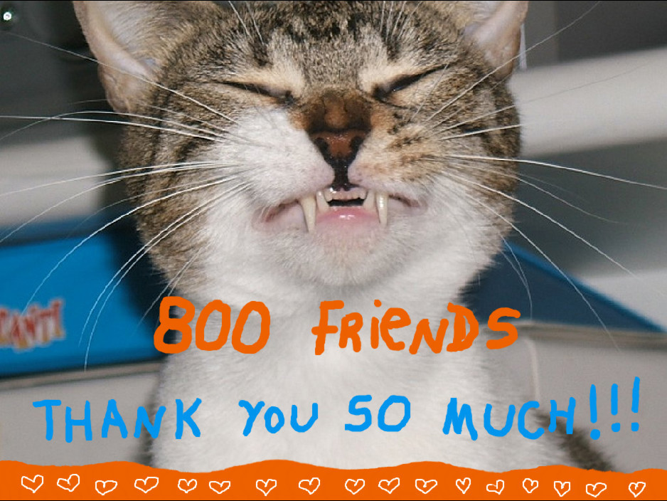 800 friends on Facebook Fan Page! Thank you! :)
Via Cats, Beavers and Ducks