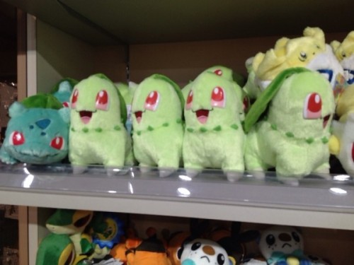 braeby:  pokemonphototokyo:  Pokemon Photos from Tokyo - Bulbasaur Chikorita plush dolls  I GLANCED AT THIS PICTURE REALLY QUICKLY AND THIS WAS ALL I SAW 