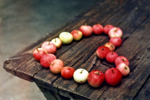 brunettebackwoods-belle: I wanna pick apples.