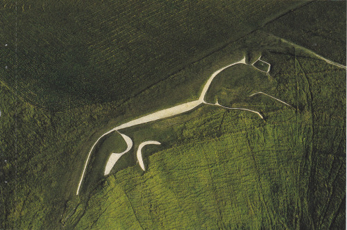 White Horse of Uffington, Oxfordhire, Englandsource