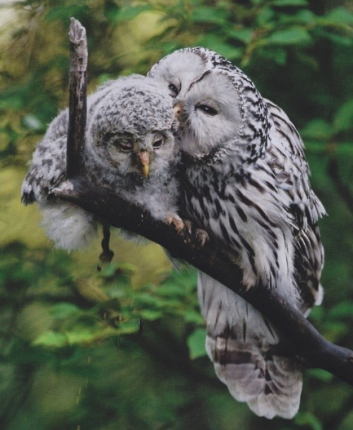 i will love you in this lifetime and all that follow