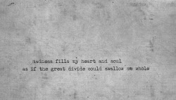 favoritelittlelyrics:  City & Colour,