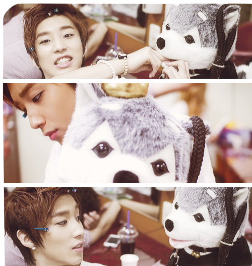  ♥~Jongup x Brownie~♥  