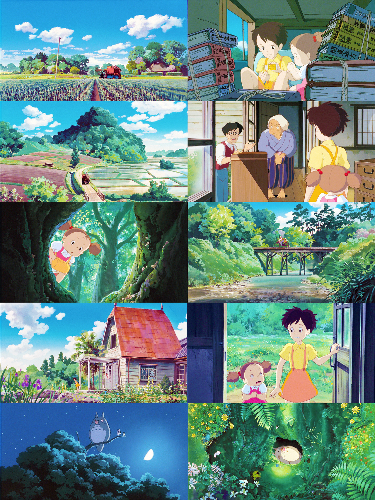 persephonies-deactivated2013061:  The Wonderful World of Studio Ghibli → My Neighbour