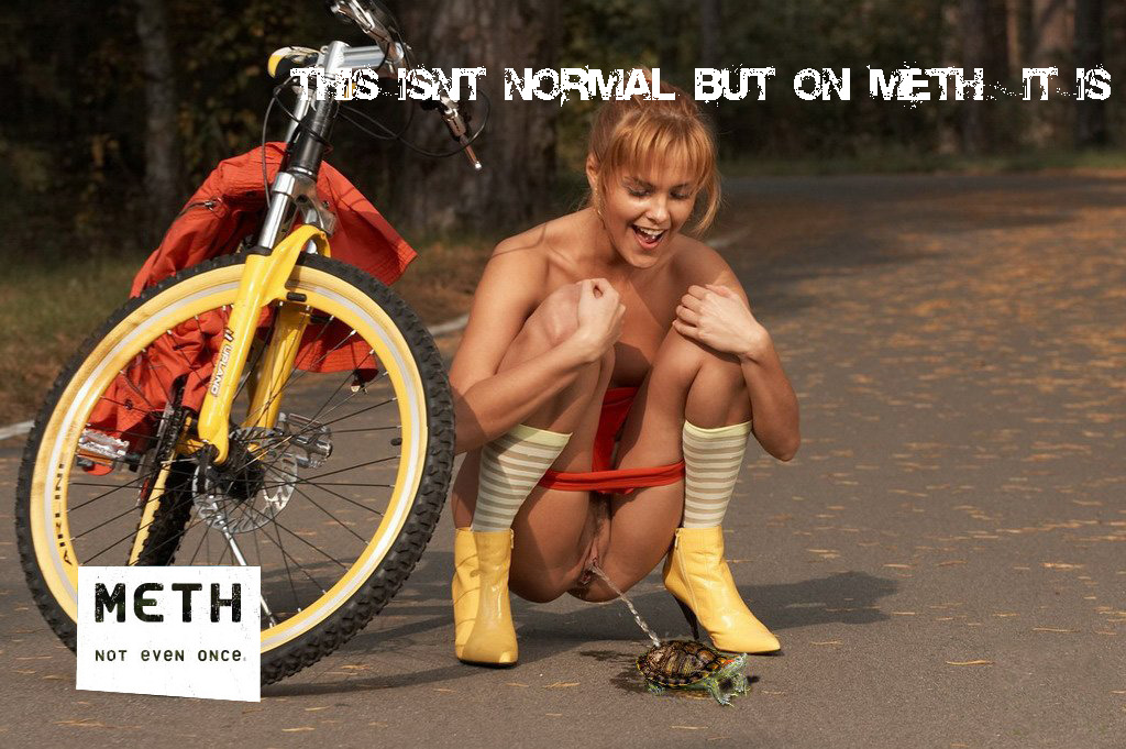 vomitspitx:  when i smoked meth this is all i did. pissin on turtles all day err